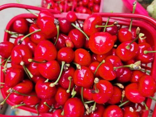 红色娱乐吃瓜视频怎么做,热门话题背后的真相与笑料